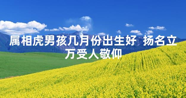 属相虎男孩几月份出生好  扬名立万受人敬仰